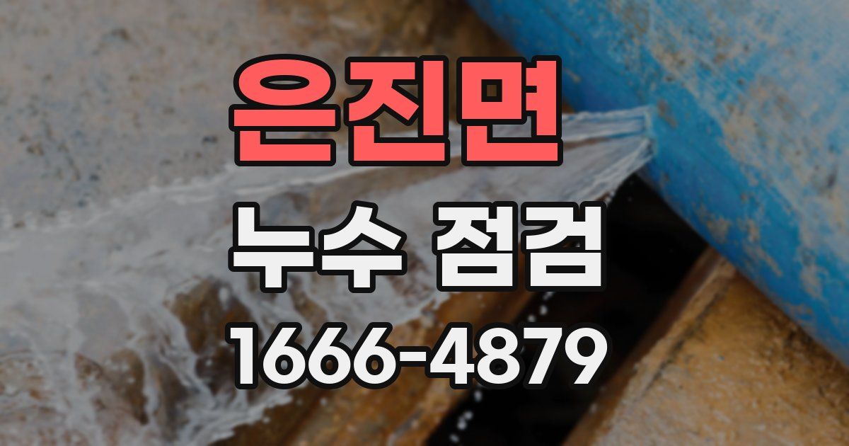 은진면 누수 점검