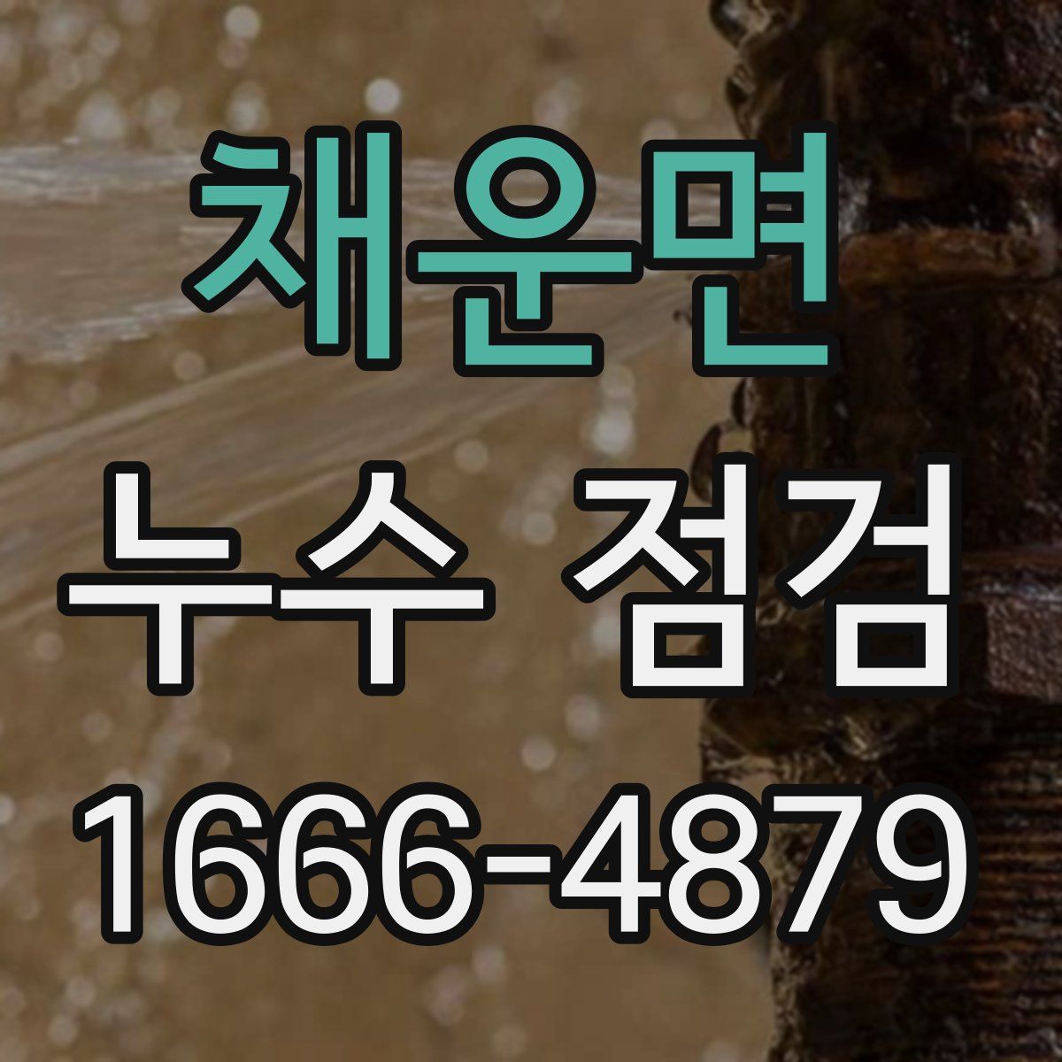 채운면 누수 점검