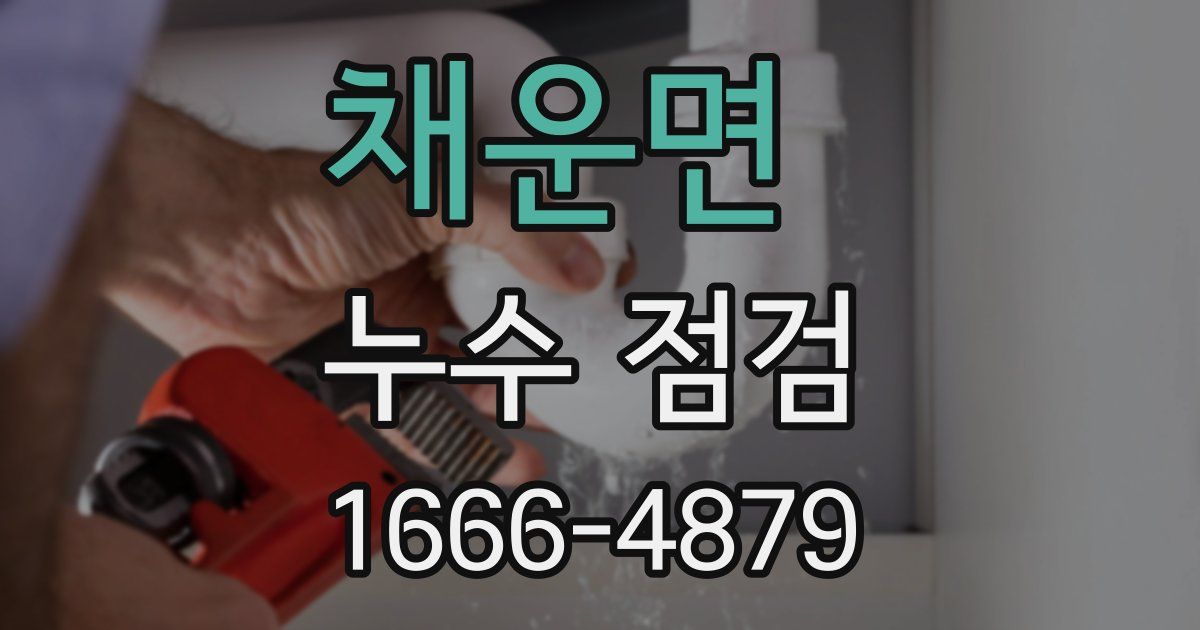 채운면 누수 점검