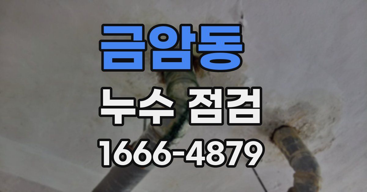 금암동 누수 점검