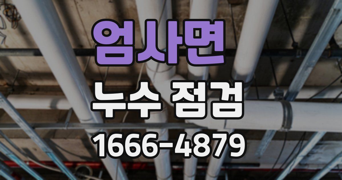 엄사면 누수 점검
