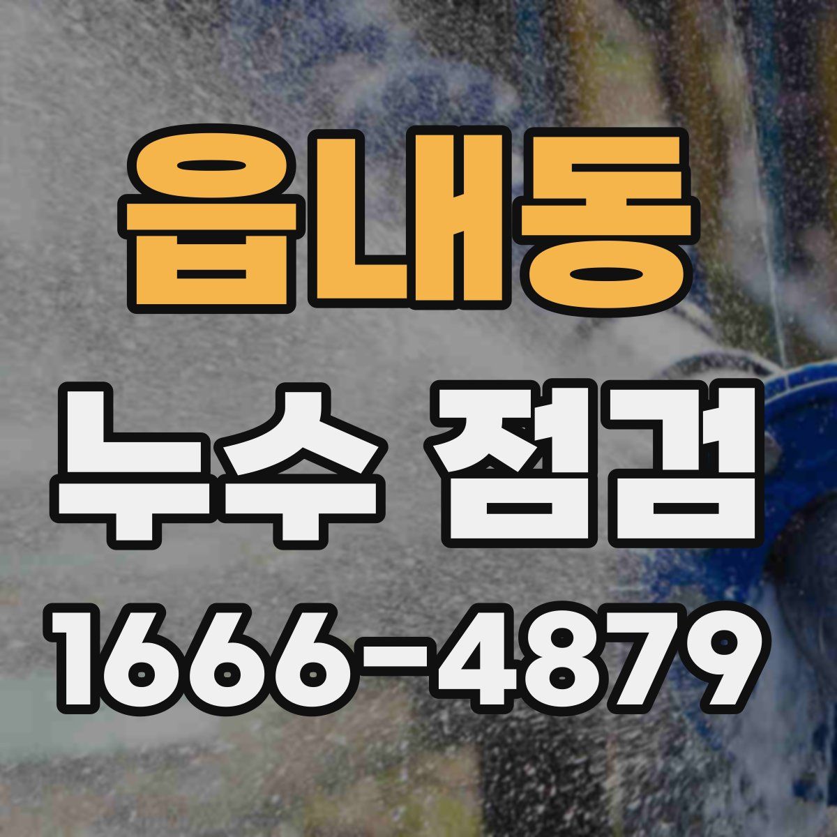 읍내동 누수 점검