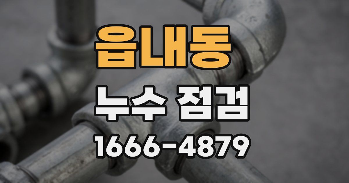 읍내동 누수 점검