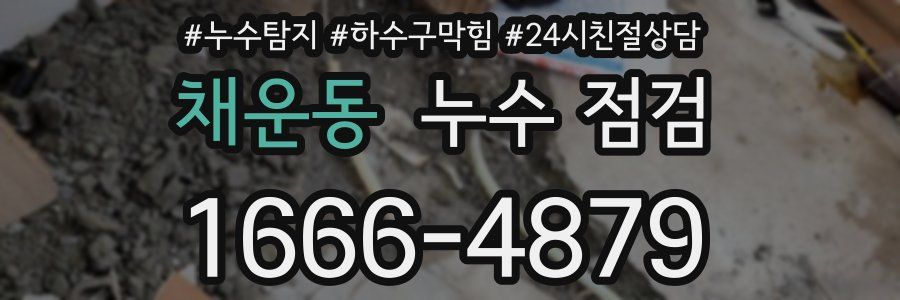 채운동 누수 점검