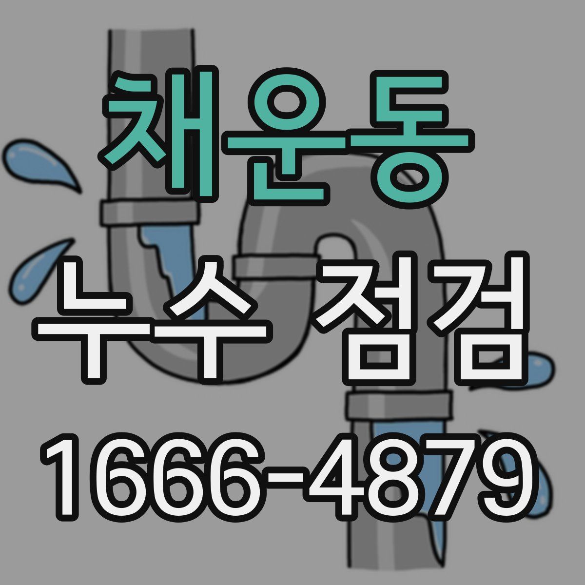 채운동 누수 점검