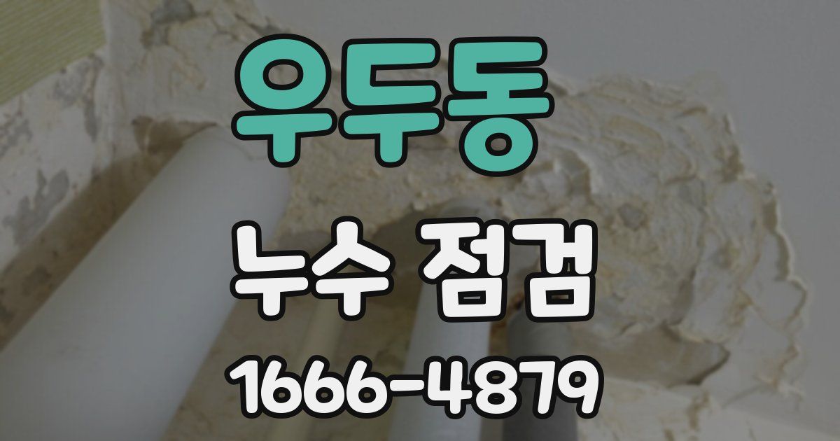 우두동 누수 점검