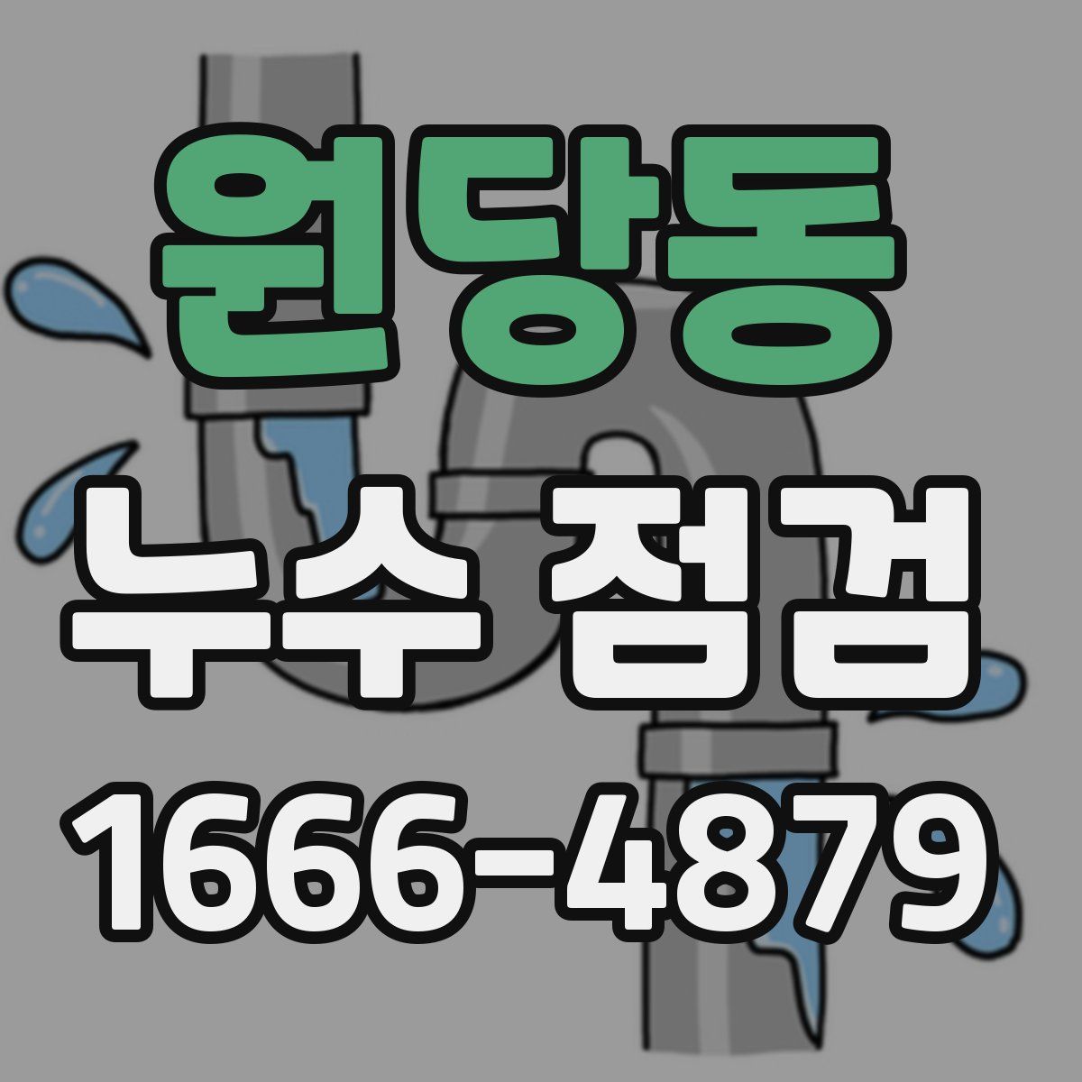 원당동 누수 점검