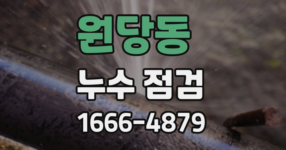 원당동 누수 점검