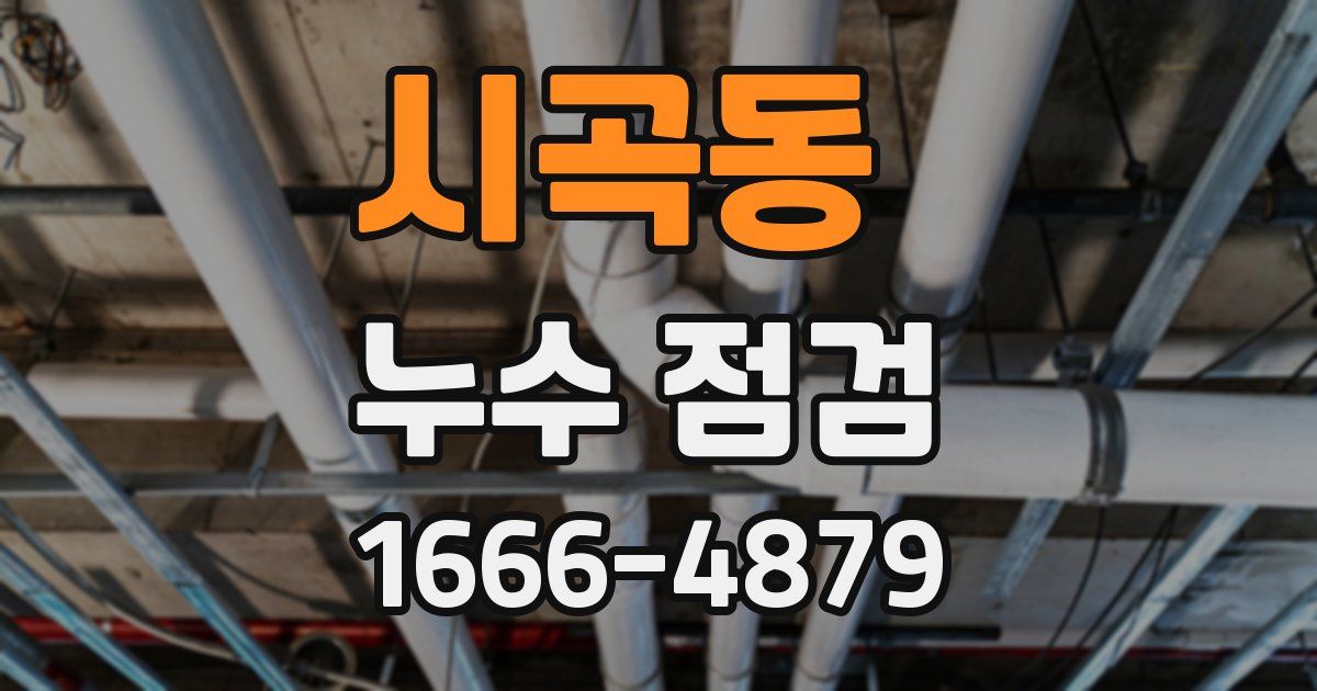 시곡동 누수 점검