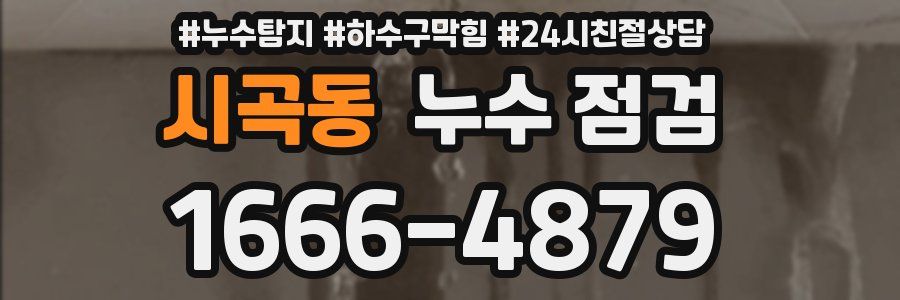 시곡동 누수 점검