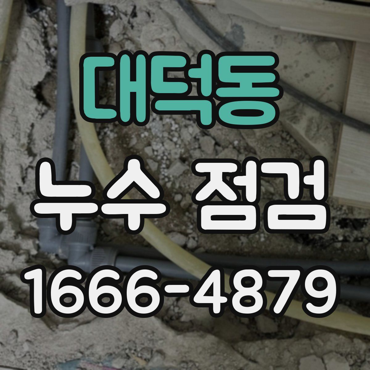 대덕동 누수 점검
