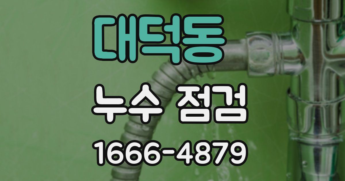 대덕동 누수 점검