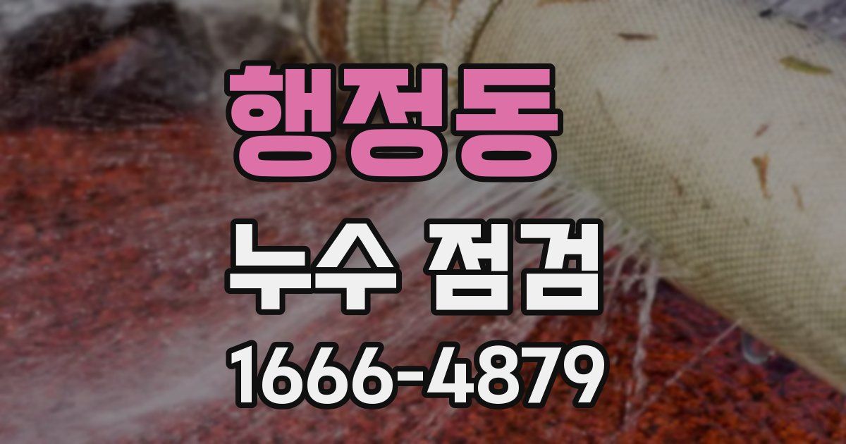 행정동 누수 점검