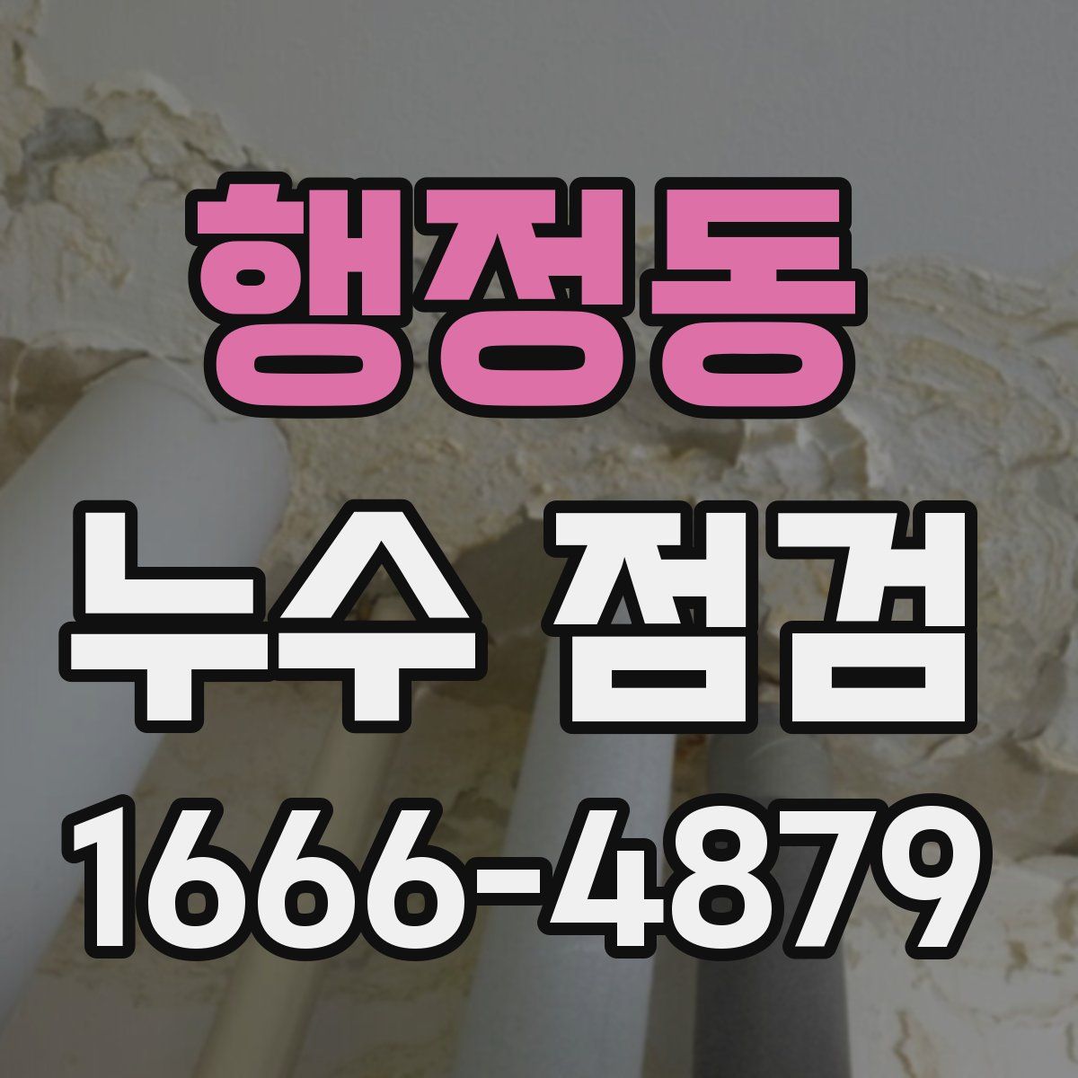 행정동 누수 점검