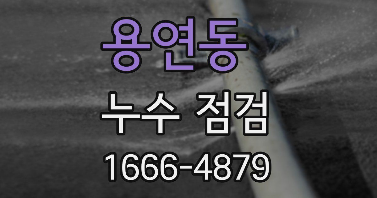용연동 누수 점검