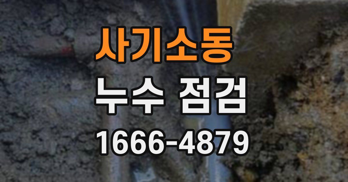 사기소동 누수 점검