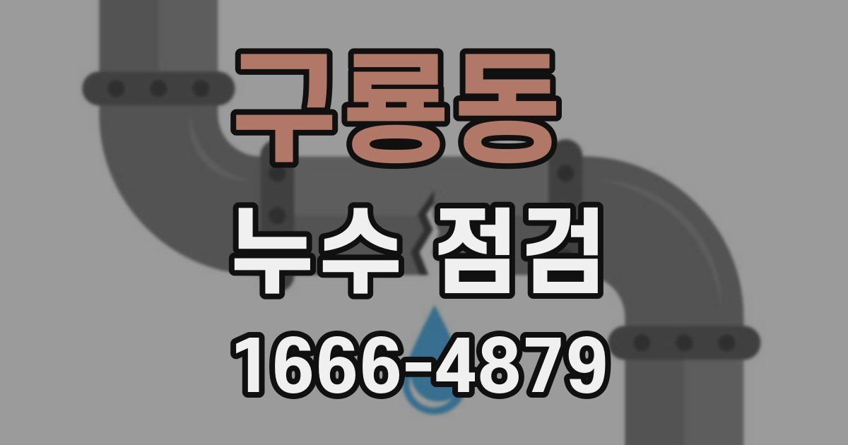 구룡동 누수 점검