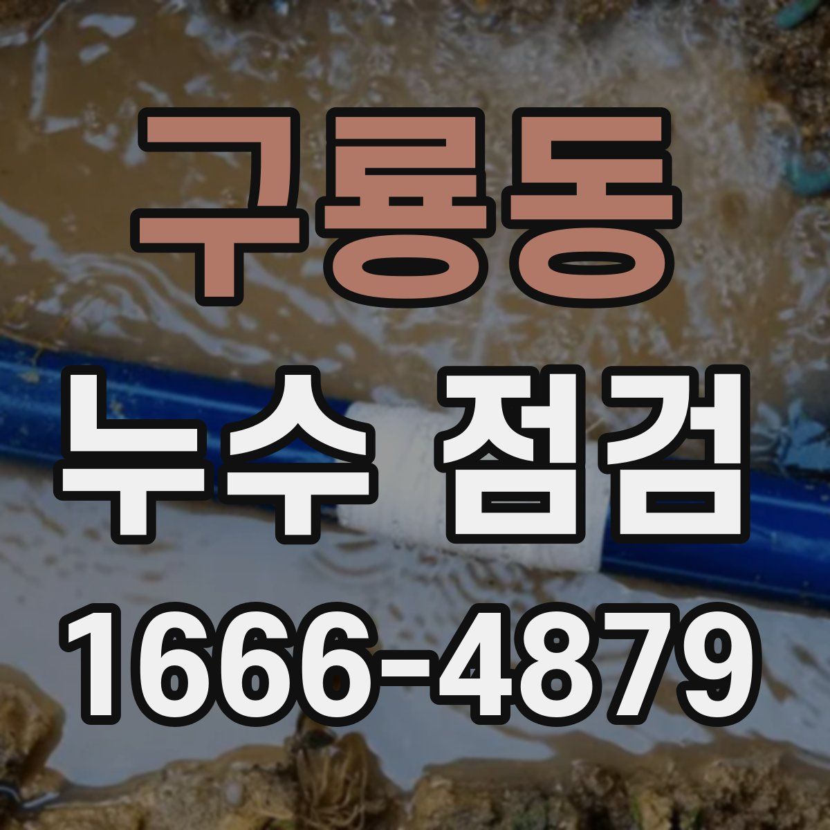 구룡동 누수 점검