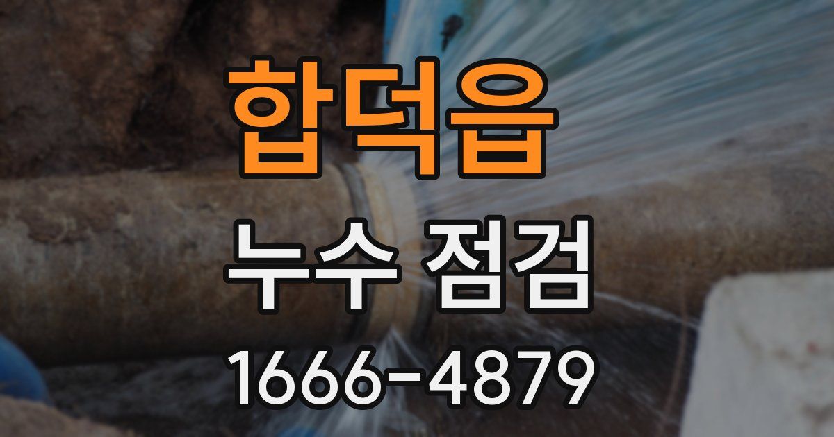 합덕읍 누수 점검