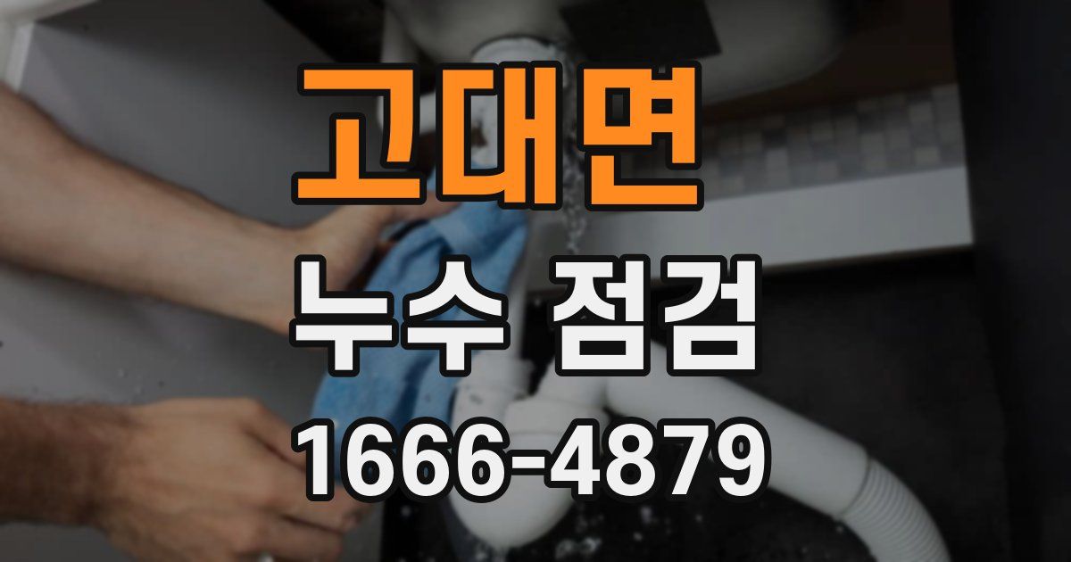고대면 누수 점검