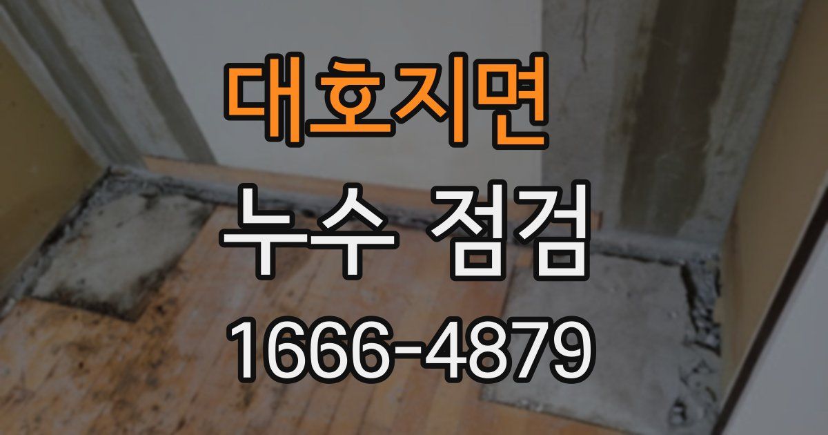 대호지면 누수 점검