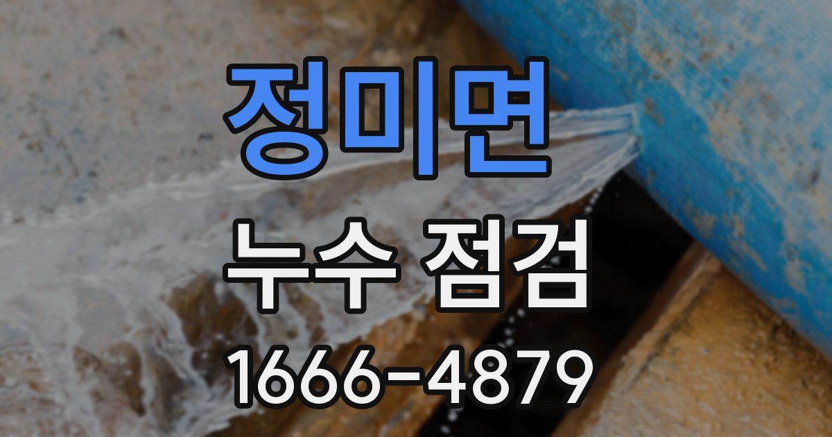 정미면 누수 점검