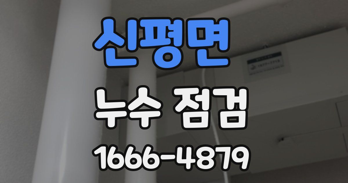 신평면 누수 점검