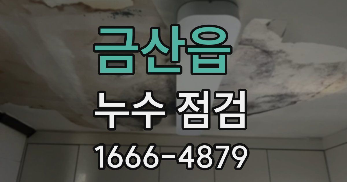 금산읍 누수 점검