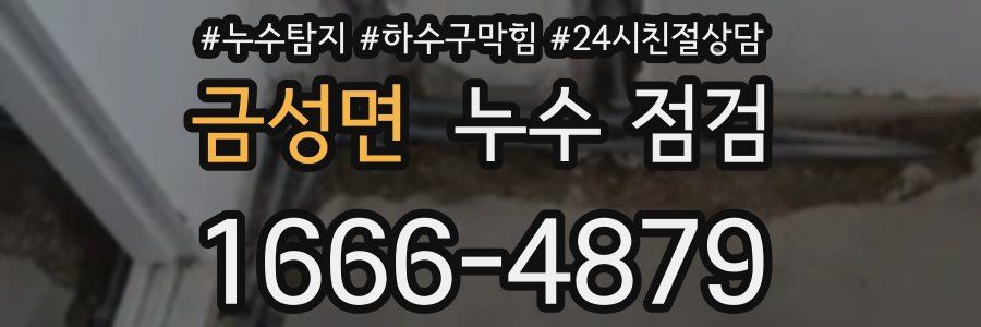 금성면 누수 점검