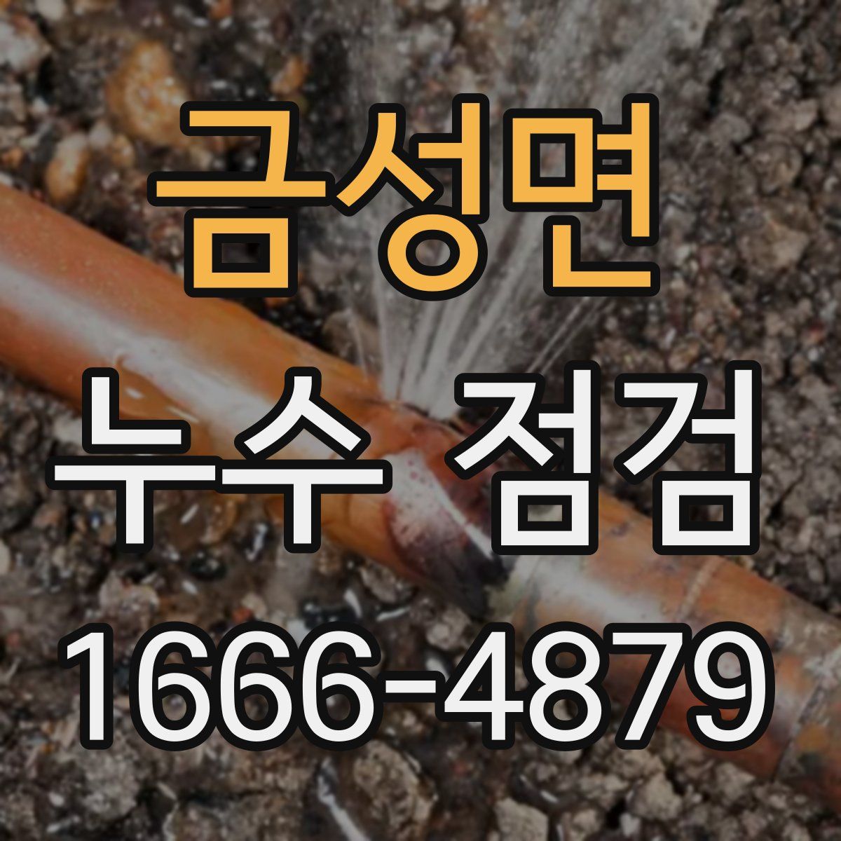 금성면 누수 점검