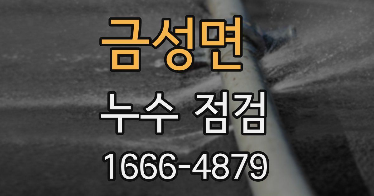 금성면 누수 점검