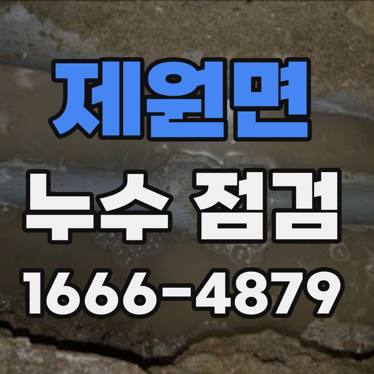 제원면 누수 점검