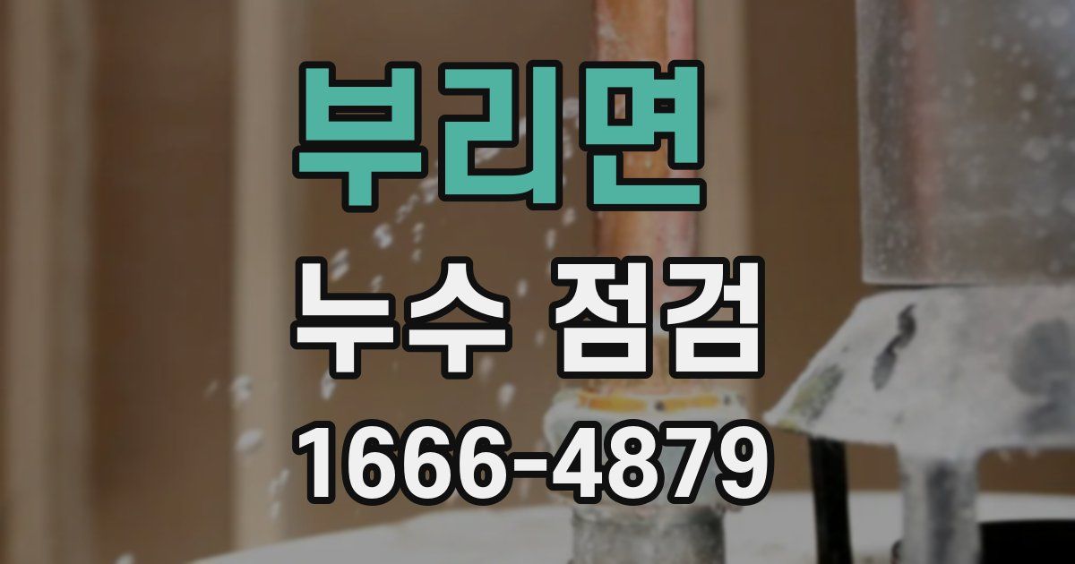 부리면 누수 점검
