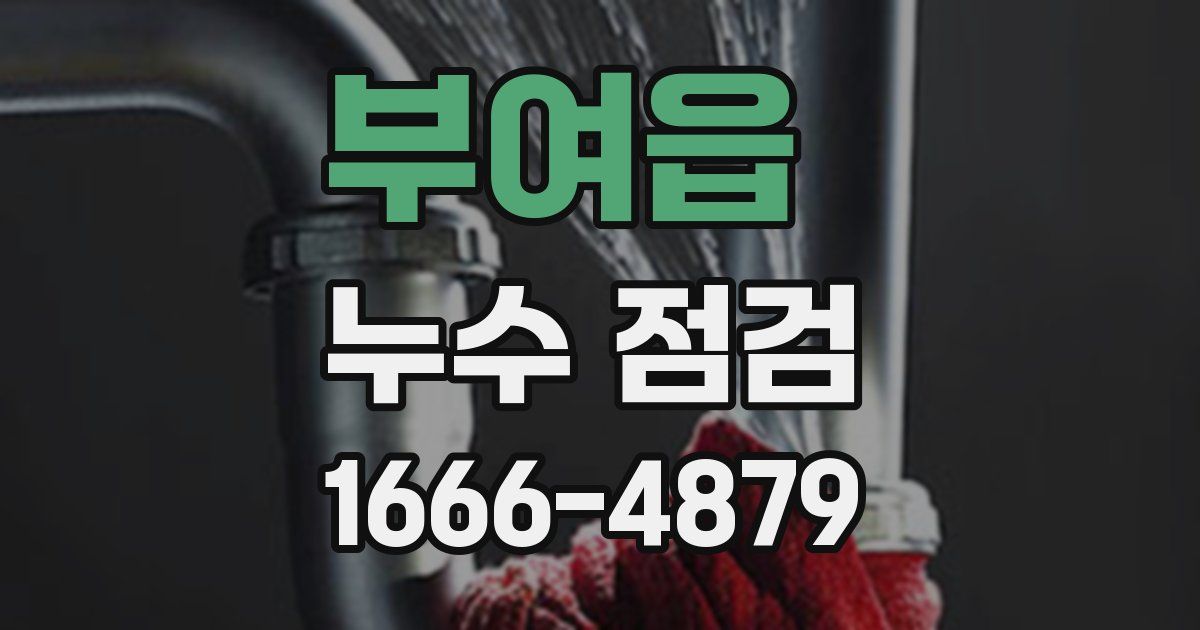 부여읍 누수 점검