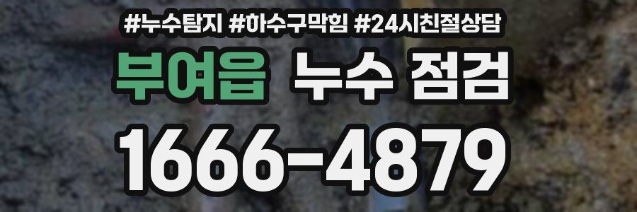 부여읍 누수 점검
