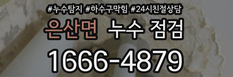 은산면 누수 점검