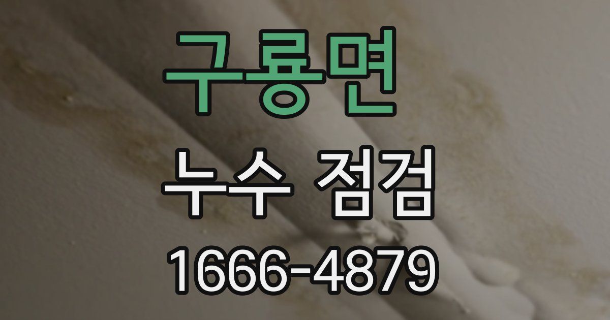 구룡면 누수 점검