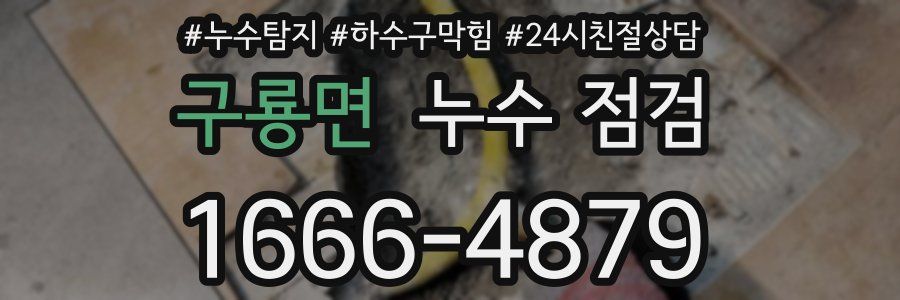 구룡면 누수 점검
