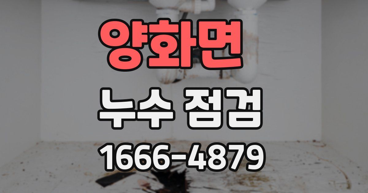 양화면 누수 점검
