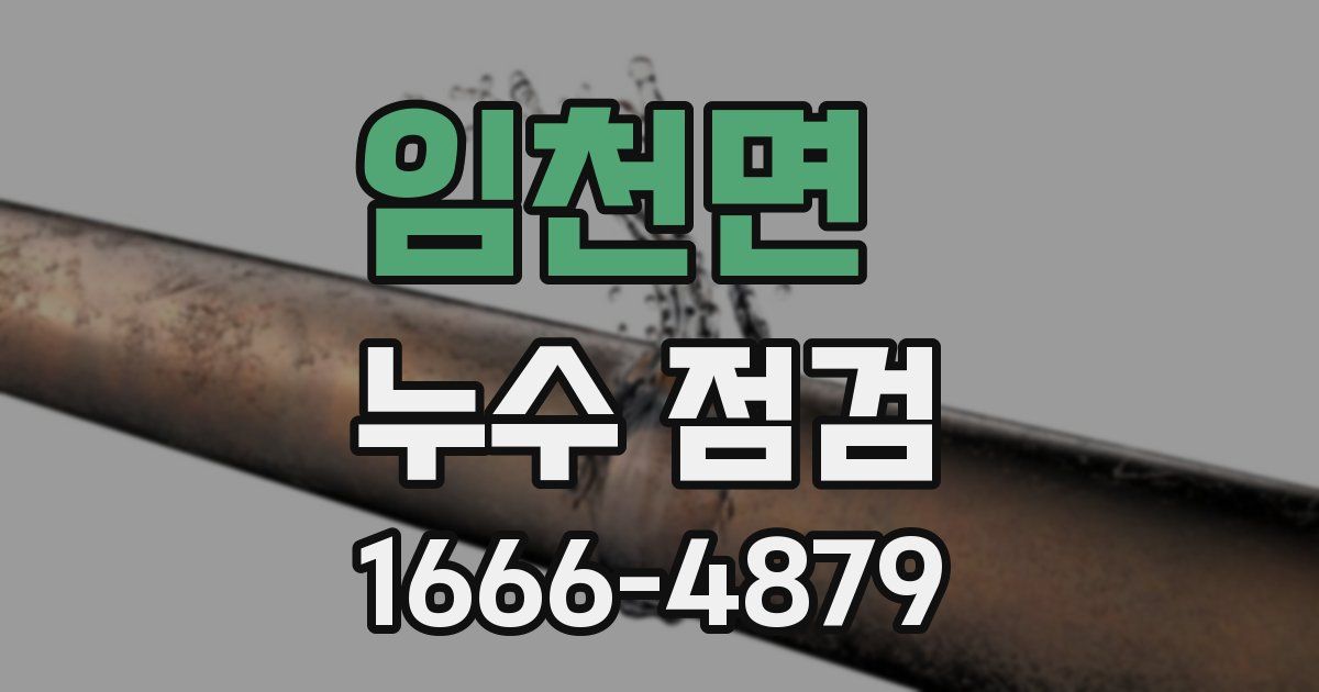 임천면 누수 점검