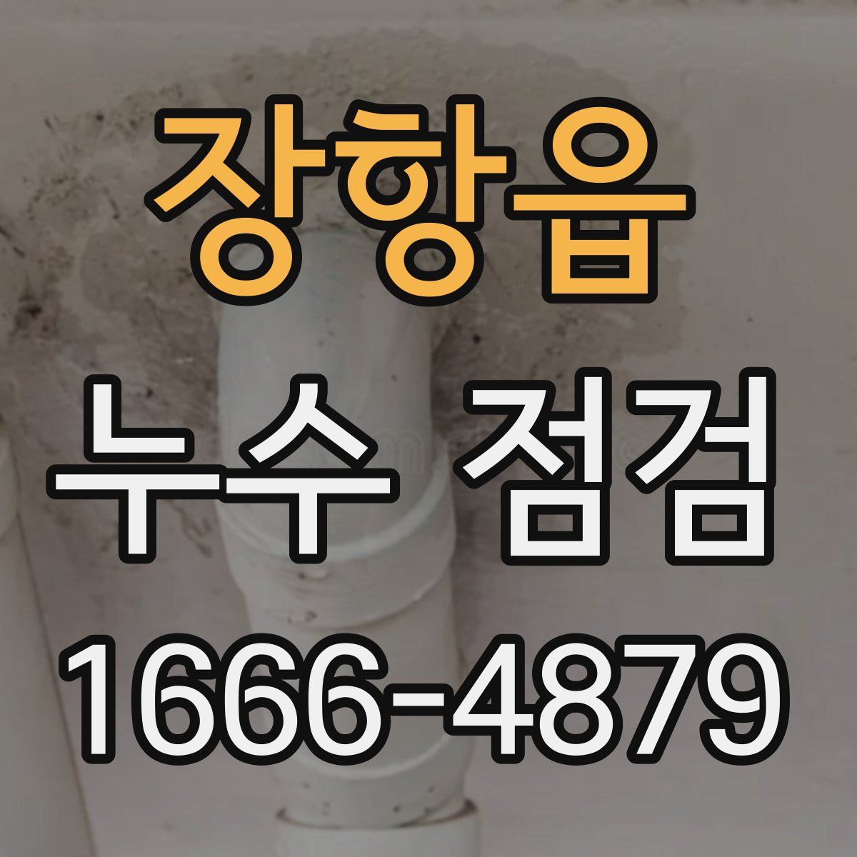 장항읍 누수 점검
