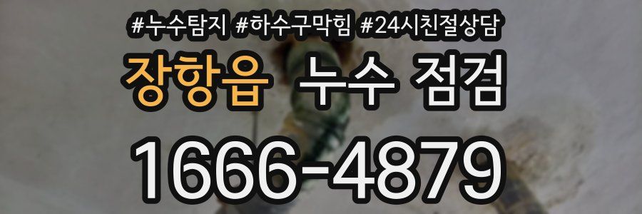 장항읍 누수 점검