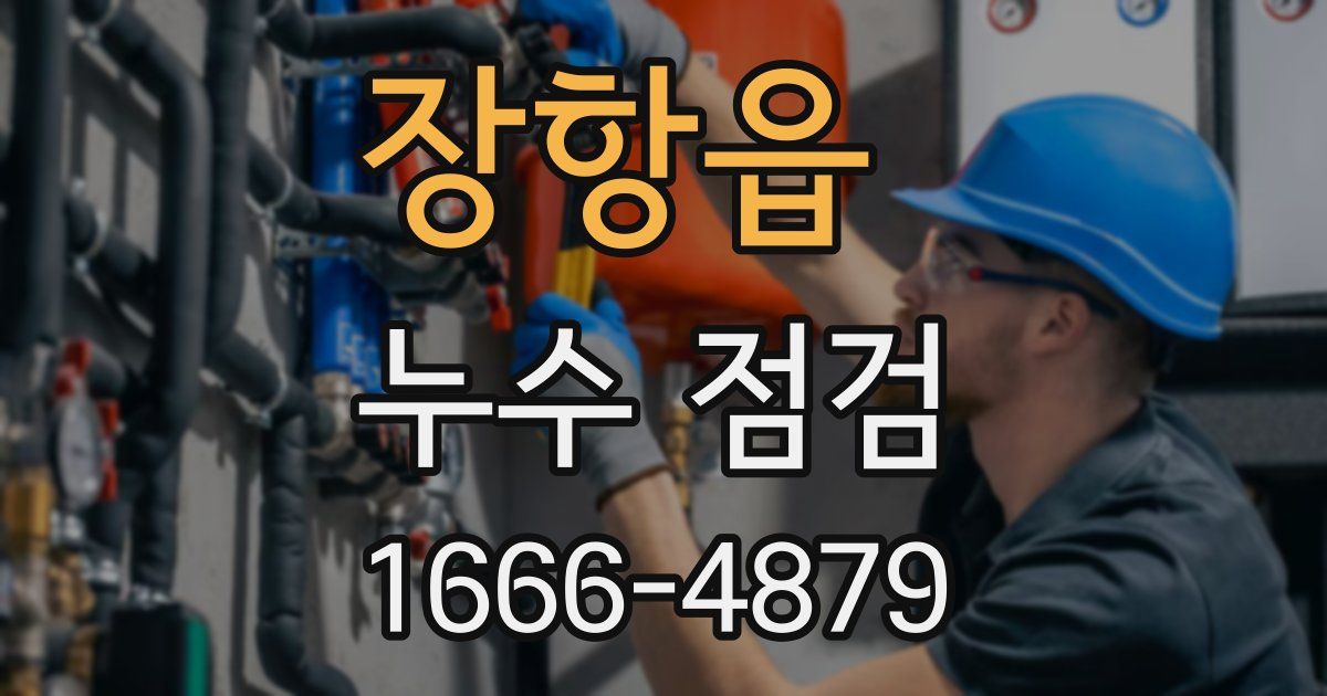 장항읍 누수 점검