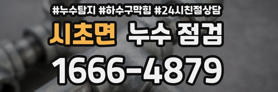 시초면 누수 점검