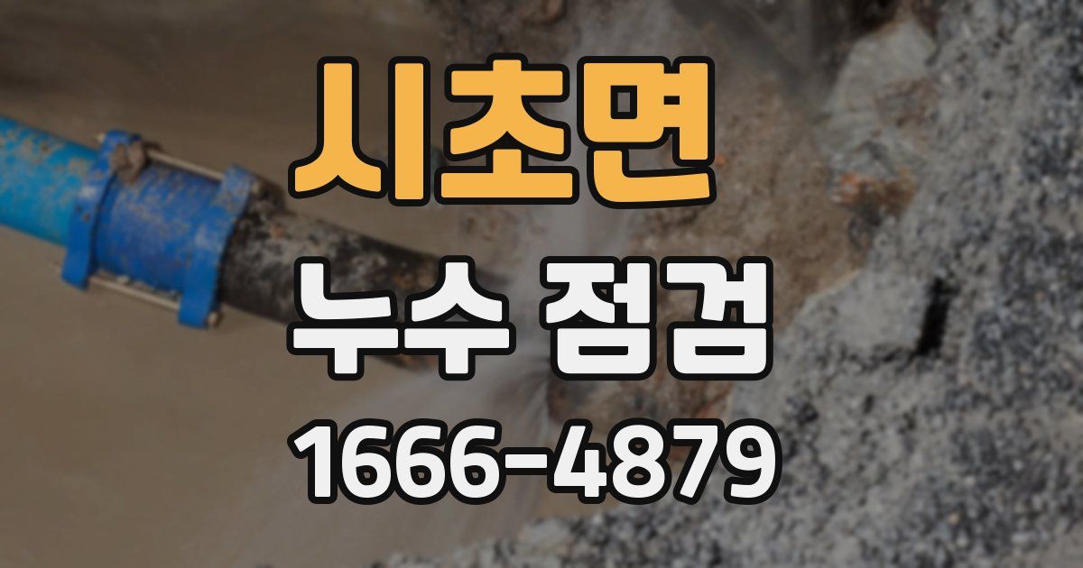 시초면 누수 점검