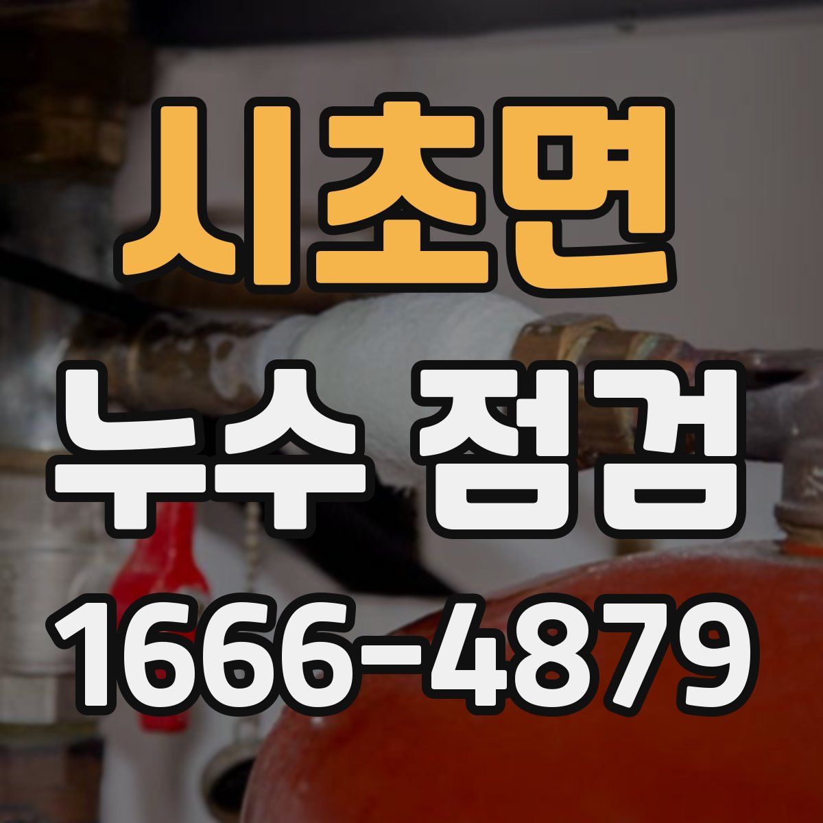 시초면 누수 점검