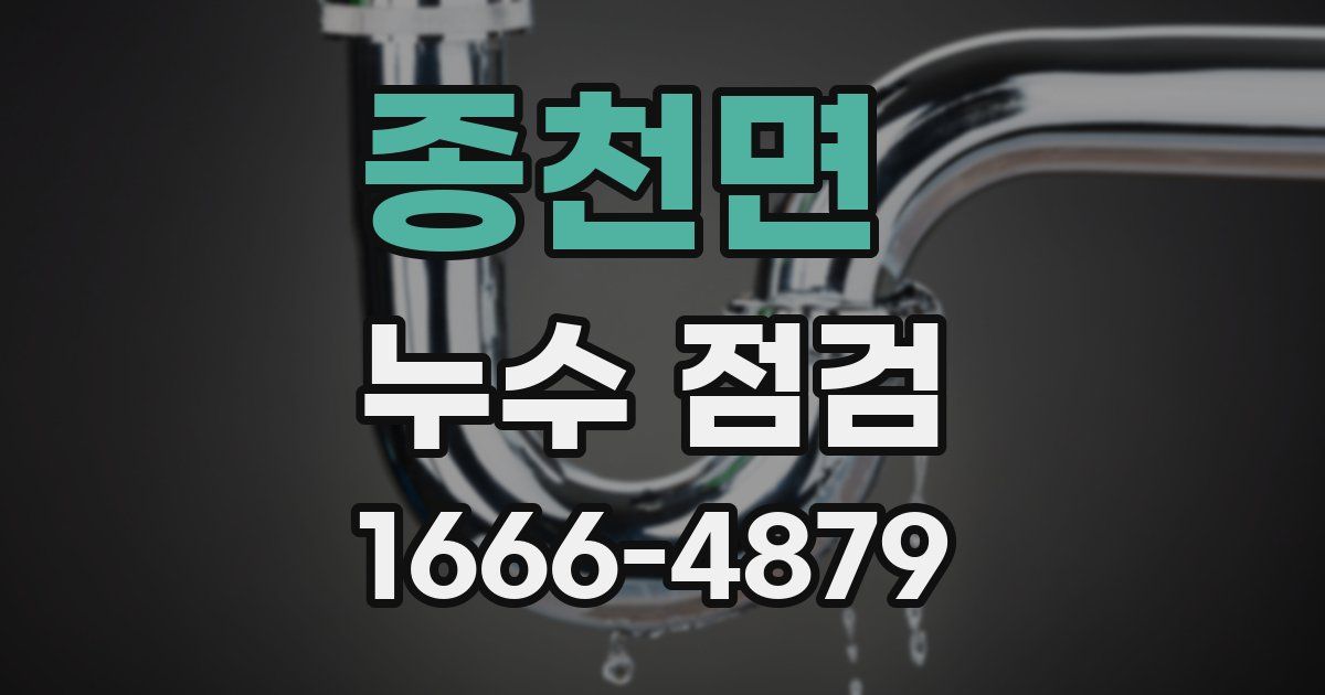 종천면 누수 점검