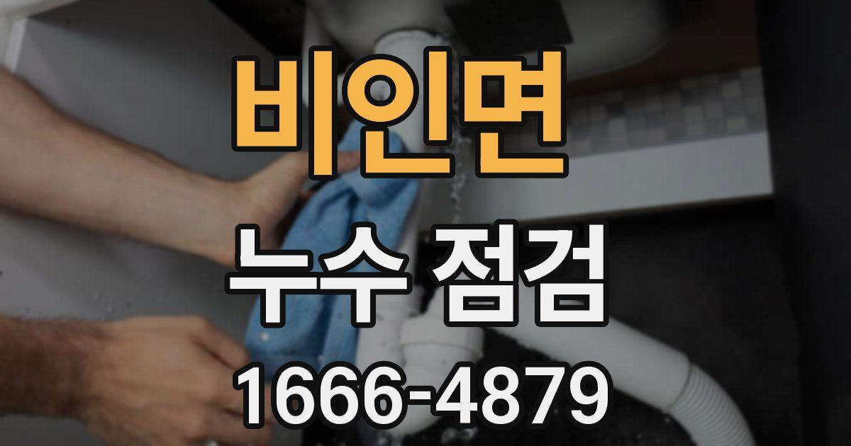 비인면 누수 점검