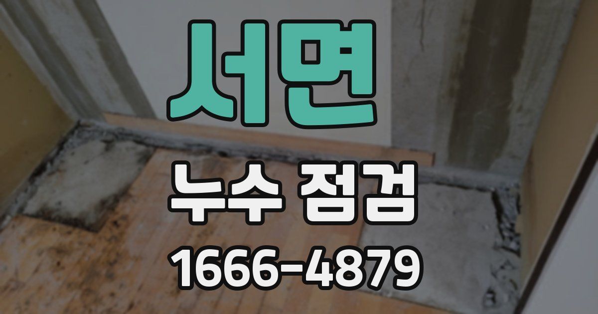 서면 누수 점검