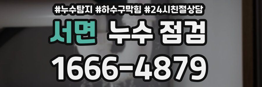 서면 누수 점검